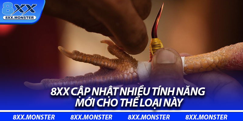 8XX cập nhật nhiều tính năng mới cho thể loại này