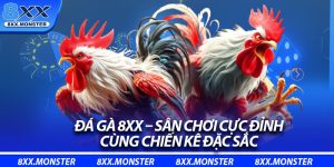 Đá Gà 8XX – Sân Chơi Cực Đỉnh, Cùng Chiến Kê Đặc Sắc