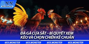 Đá Gà Cựa Sắt – Bí Quyết Xem Kèo Và Chọn Chiến Kê Chuẩn