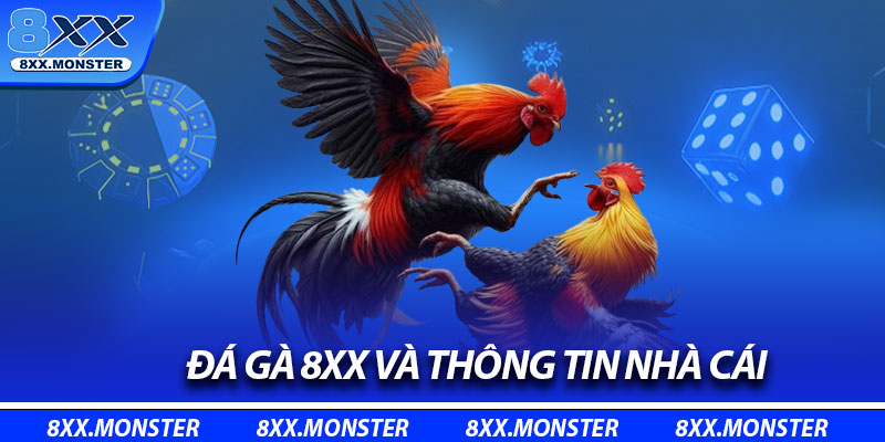Đá gà 8XX và thông tin nhà cái